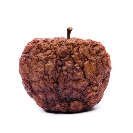 One whole dried apple isolated over white background