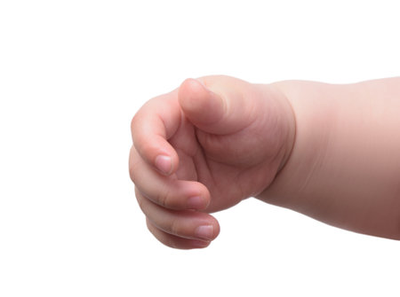 Small baby hand isolated on white backgroundの写真素材