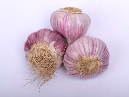 Fresh garlic bulb on white backgroundの写真素材