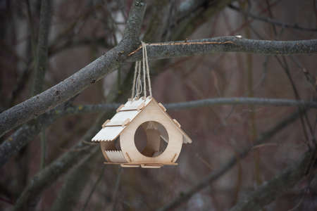 Wooden bird feeder on tree at the park