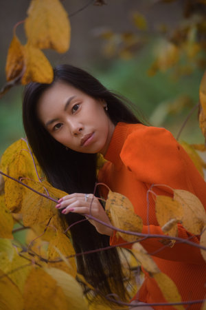Outdoor atmospheric lifestyle portrait of young beautiful asian lady. Warm autumn at park.の写真素材