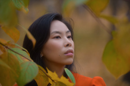Outdoor atmospheric lifestyle portrait of young beautiful asian lady. Warm autumn at park.の写真素材