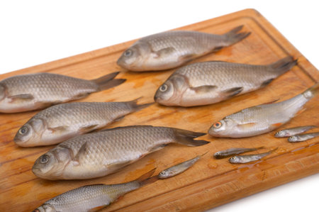 Small fishes on a cutting board isolatedの写真素材