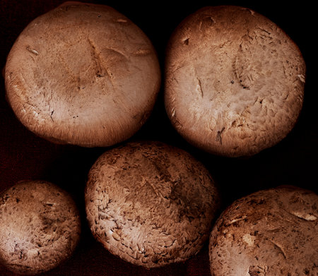 mushrooms grow on a dark background