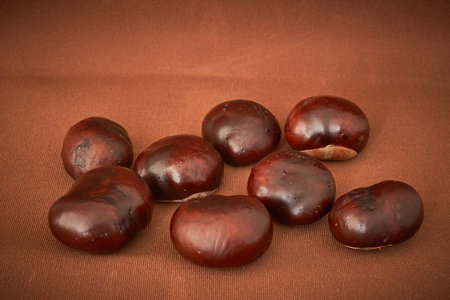 chestnuts lie on a black background, farm harvestの写真素材
