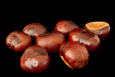 chestnuts lie on a black background, farm harvestの写真素材