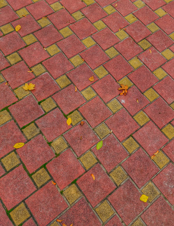 Red paving slabs with yellow autumn leaves on the ground in the parkの写真素材
