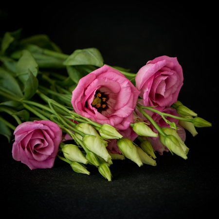 Bouquet of pink flowers on black background.の写真素材