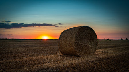 Sunset on the field with hay bales. Toned.の写真素材