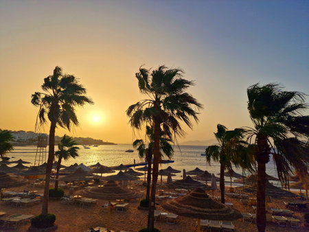 Sunset on the beach with palm trees in Hurghada, Egyptの写真素材