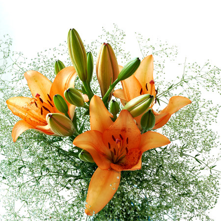 Bouquet of orange lilies on a white background. Isolatedの写真素材