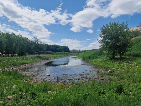 landscape of a small river with trees and blue sky with clouds