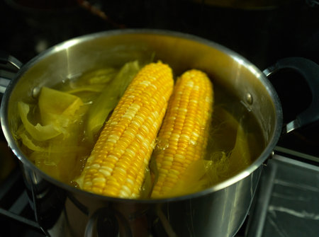Boiling corn cobs in a pot on a gas stove.の写真素材