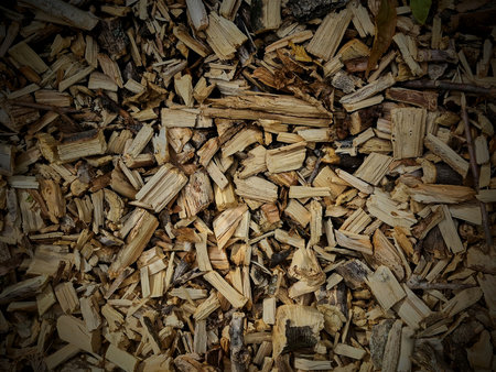 Pile of chopped firewood in the forest. Selective focus.
