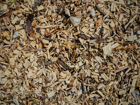 Background of wood chips and sawdust. Texture of wood chips.