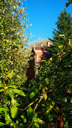 brick house among green foliage