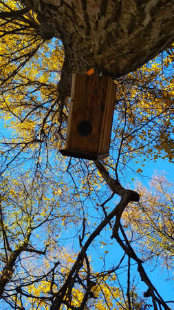 Birdhouse on a tree