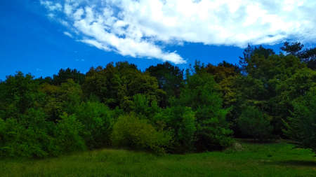 green forest and blue clouds