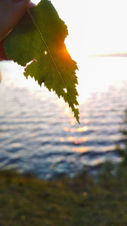 bright sunset on the Volga River in summerの写真素材