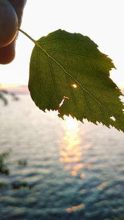 bright sunset on the Volga River in summerの写真素材