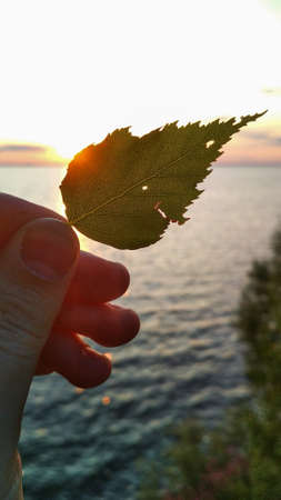 bright sunset on the Volga River in summerの写真素材