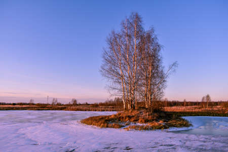 the first ice on the sun at sunsetの写真素材