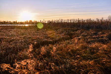 the first ice on the sun at sunsetの写真素材