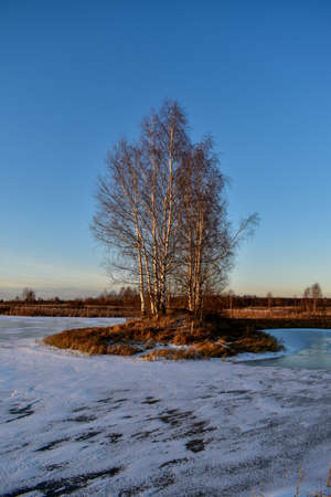 the first ice on the sun at sunsetの写真素材