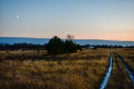 road through the field at duskの写真素材