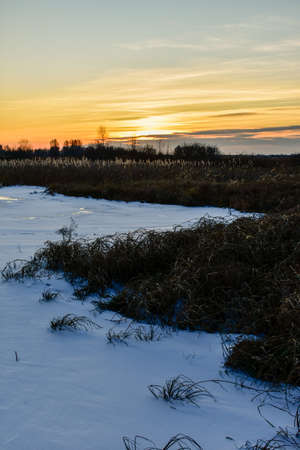 the first ice on the sun at sunset