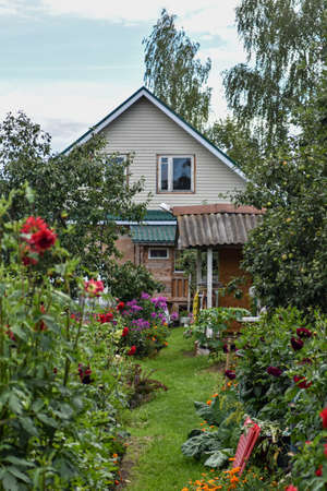 beautiful flowers grow in the summer garden