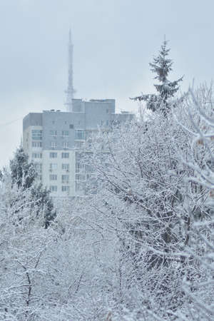 The city is covered with frost on a frosty winter day