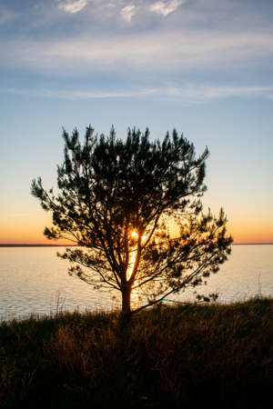 sunset on the river bankの写真素材