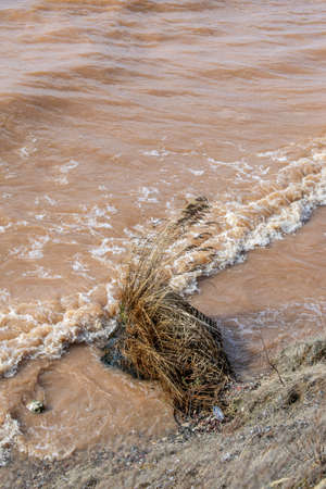 the summer beautiful volga riversideの写真素材