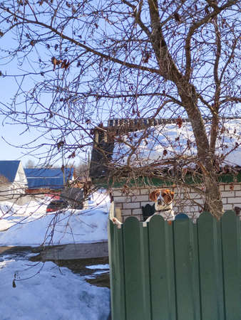 beautiful wooden house in the village in springの写真素材