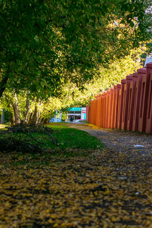 beautiful autumn street in the city