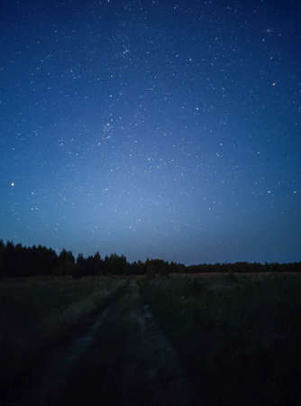 starry night in a big fieldの写真素材