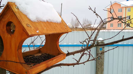 wooden bird feeder hanging from a treeの写真素材