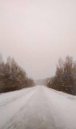 The Road Through the Forest in Winter