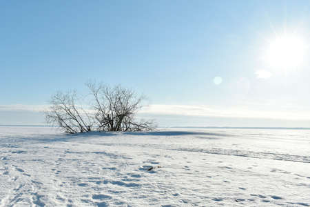 A clear winter day on the Volga Riverの写真素材
