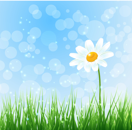 illustration Nature background with chamomile flowerのイラスト素材