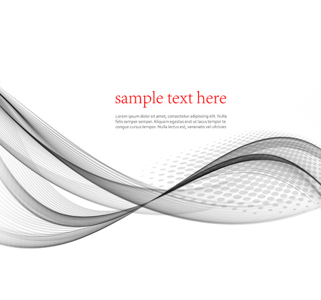Gray lines abstract smooth background wave business layout template. Vector illustrationのイラスト素材