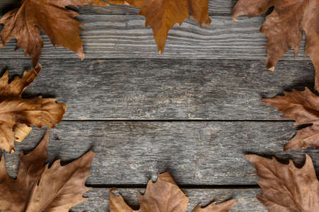 Leaves of a plane tree on an old wooden table