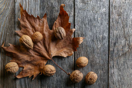 Leaves of a plane tree on an old wooden table with walnutsの写真素材