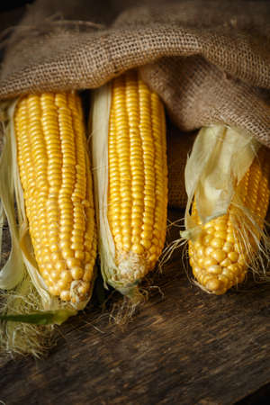 Fresh corn on the cob on a rustic wooden table, close up. Delicious and healthy food.