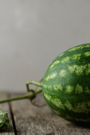 Whole watermelon, honey watermelon on wooden table background. Very healthy, natural, vegetarian food.の写真素材