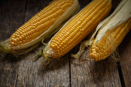 Fresh corn on the cob on a rustic wooden table, close up. Delicious and healthy food.