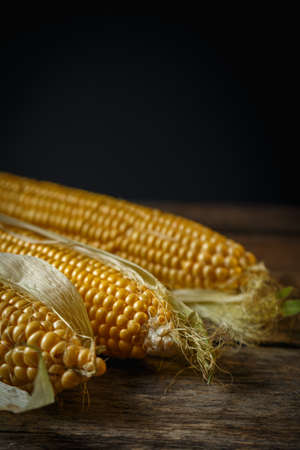 Fresh corn on the cob on a rustic wooden table, close up. Delicious and healthy food.