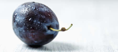 Fresh plums. Fruits. On a white wooden background. Copy space. Fruit background with copy space. Still life food. Banner.の写真素材