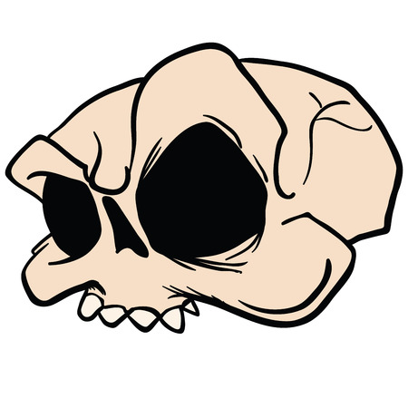 skull cartoon illustration isolated on whiteのイラスト素材